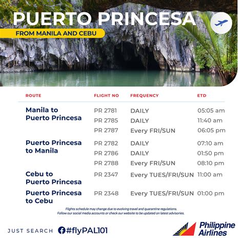 Flight Ticket from Puerto Princesa .